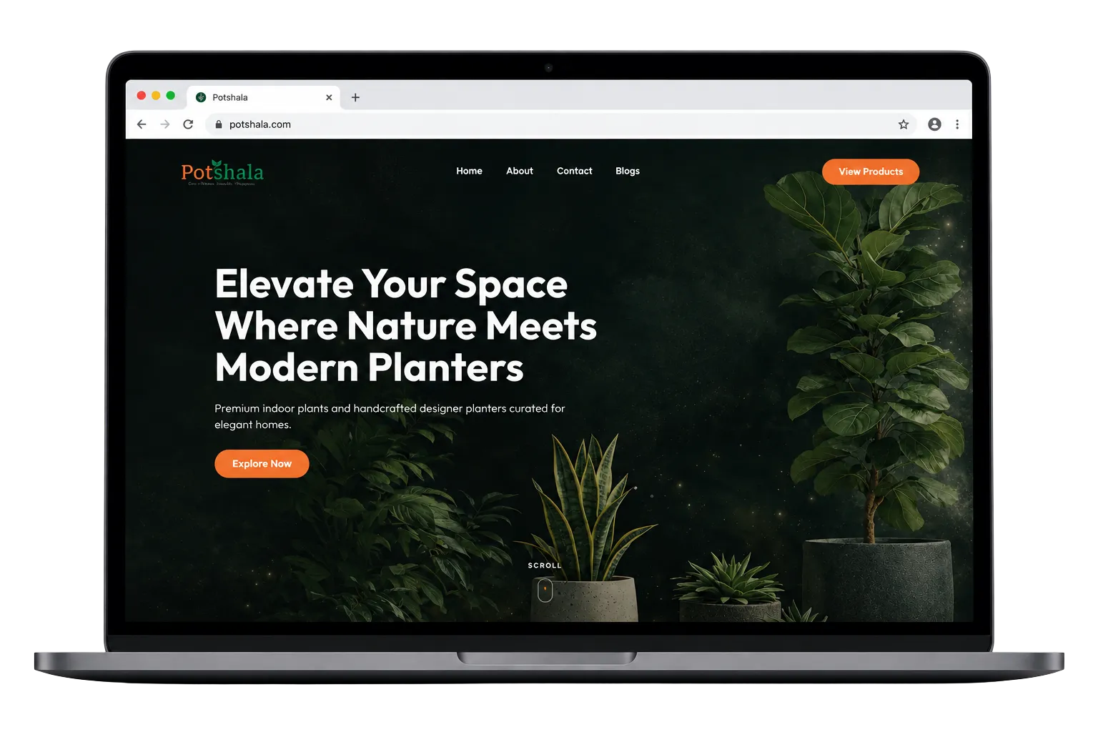 Potshala Website Interface Preview