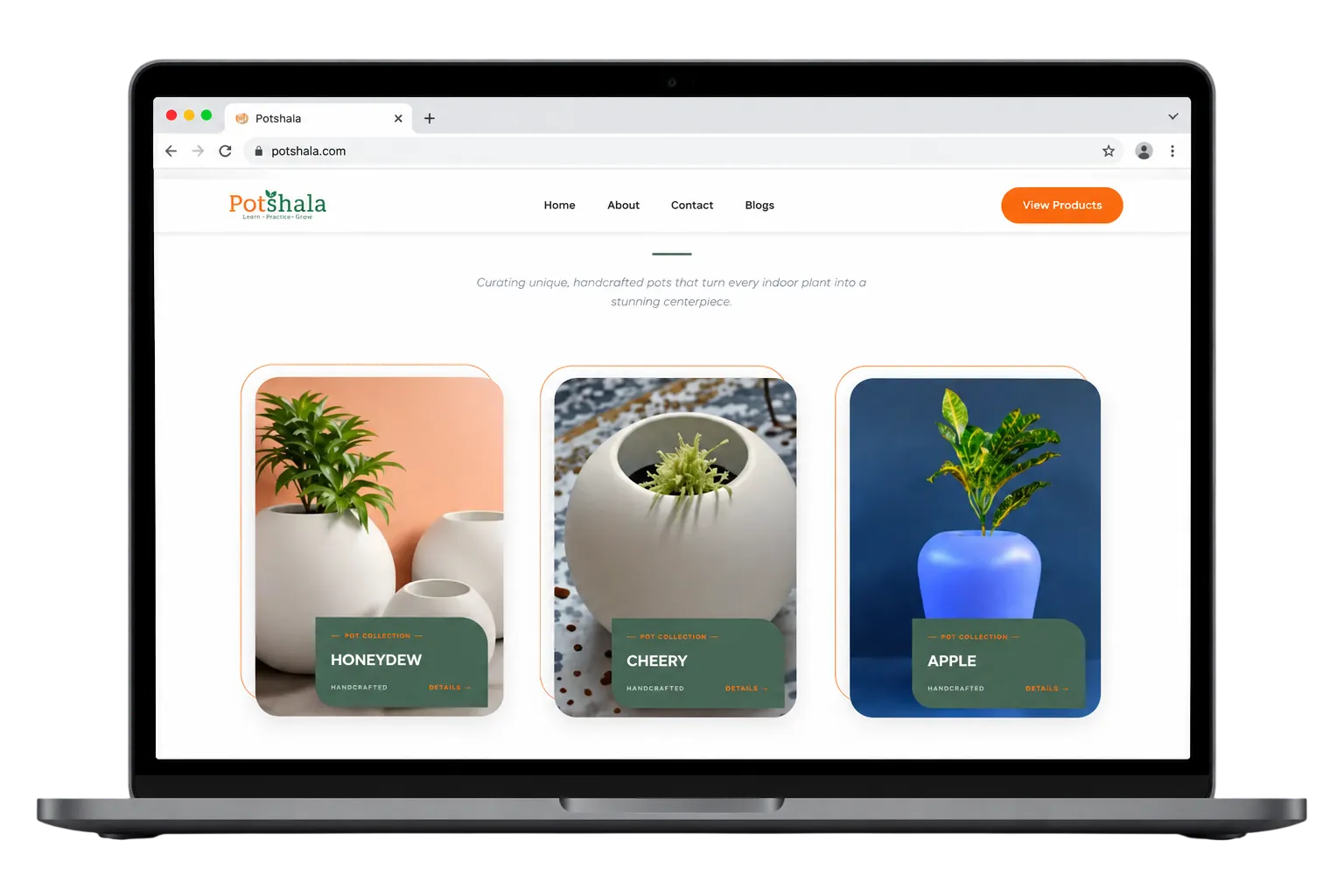 Potshala Website - Handcrafted Designer Pots Product Catalog